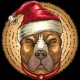 PITBULL SANTA