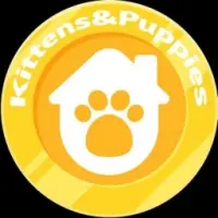KittensAndPuppies Logo