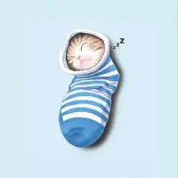 Cat in Socks Logo