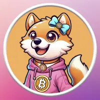 Nina Logo