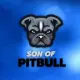Son Of Pitbull