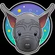 ThaiRidgeBack