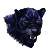 Wild Leopard Logo