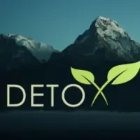 DETOX Logo