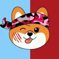 MadCap Twins Logo