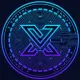 X Capital