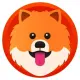 POMDOG