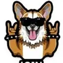 ROCKSHIBA Logo