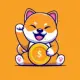 Richdoge Token