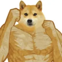 MightyDoge Logo