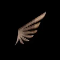 Angel Coin Logo