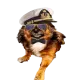 Zobi