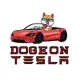 Doge On Tesla