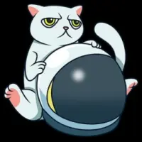 Cat Token Logo