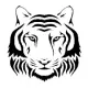 TIGERS