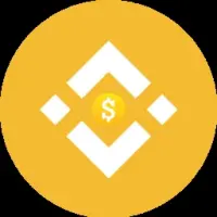 Son Of BNB Logo