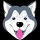 Alaska Inu