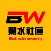 Blackwater Rise Token Logo