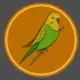 Budgie Inu
