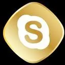 SafeSkype Logo