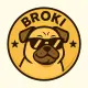 BROKI COIN