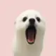 POPDOG