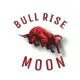 BullRiseMoon