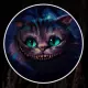 ShishirCAT Mysterious CAT