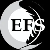 True Efortless Logo
