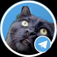 Merlin the Cat Logo