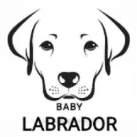 Baby Labrador Logo