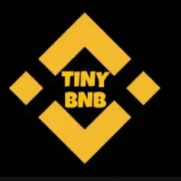 TinyBNB Logo