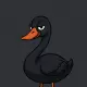 BLACK SWAN