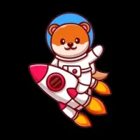 Flokis Rocket Logo