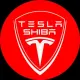 Tesla Shiba