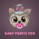 Baby Yorkie Poo