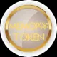 Memory Token