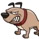AngryDoge