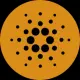 Maxi Cardano