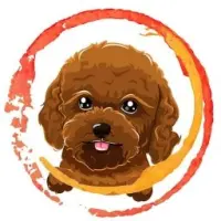 BabyToyPoodle Logo