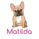 MATILDA VIP