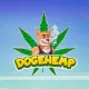 Dogehemp