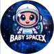 BabySpaceX