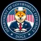 Department of Government Efficiency
