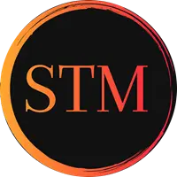 STheMoney Logo