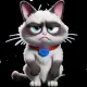 GRUMPYKAT