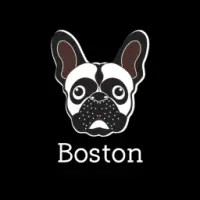Boston Logo