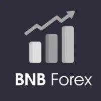 BNB Forex Logo