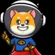 Floki Mars the Shiba Killer