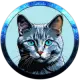 KaratCoin